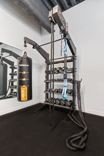a home gym with a punching bag hanging from the ceiling